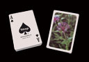 article de magie Jeu Trump illustr� - Chardon