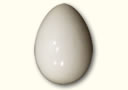 tour de magie : Oeuf factice plastique