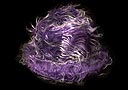tour de magie : Chapeau duveteux (violet)