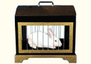 article de magie Tora Strange Cage