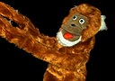 article de magie Singe ventriloque