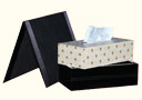 article de magie Appearing and disappearing tissue box