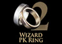 article de magie Wizard PK Ring Bandstyle Silver (Grande)