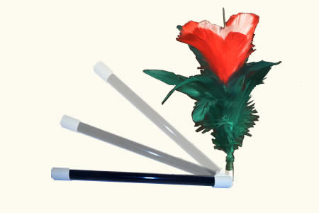 Fleur � la baguette