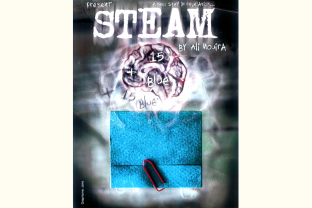 Steam