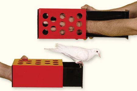 Amazing Dove Box