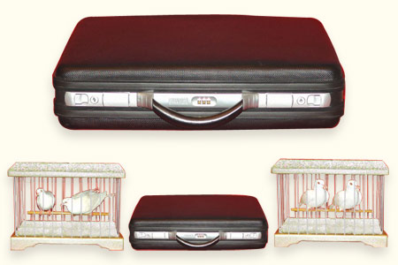 Appearing cages from the briefcase