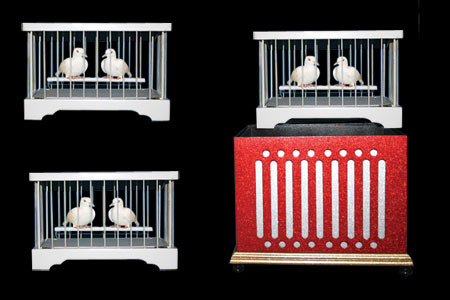 Ati dove cages