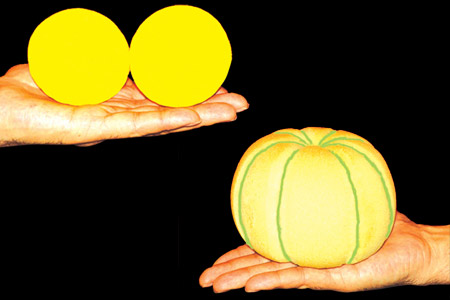 Balle en melon