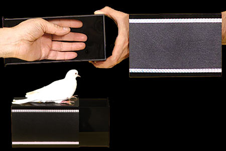 Dove drawer box
