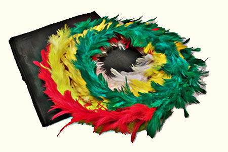 Cambio de Color de Aros de Pluma