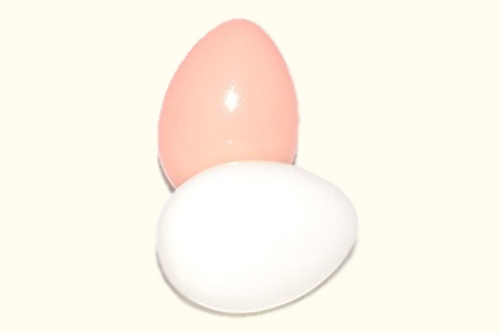 Huevo falso de pl�stico Eco