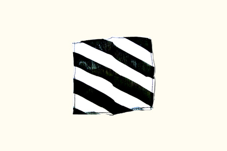 Pañuelo Zebra 6'' (15 x 15 cm)