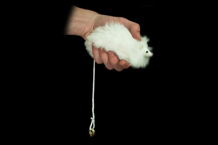 El ratón de los anillos