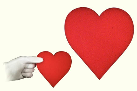 Sponge Heart Jumbo Goshman