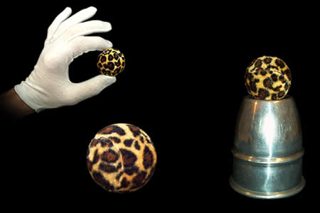 Carga pelota de leopardo