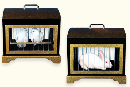 Tora Strange Cage