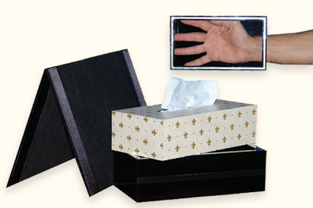 Appearing and disappearing tissue box