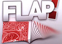 tour de magie : DVD Return of the Big Flap