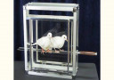Dove on Fire Sword in Glassy Cube