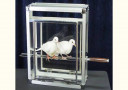 article de magie Dove on Fire Sword in Glassy Cube