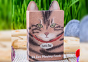 article de magie Jeu Zoo 52 (Playful Paws)