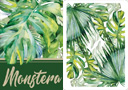 Monstera playing card