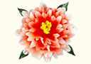 tour de magie : Fleur Peony à apparition - Dégradé de couleurs (47 cm)