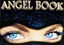 Oferta Flash  : Angel Book