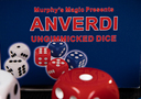 NON GIMMICKED DICE 6 PACK/MIXED