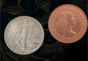 Sun and Moon (Walking Liberty Half Dollar)