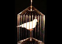 tour de magie : Automatic Appearing bird Cage (Small)