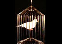 Automatic Appearing bird Cage (Small)