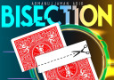 Bisection