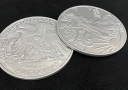 Deluxe Giant Walking Liberty Coin (7.3 cm)
