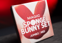 tour de magie : Mister Rabbit