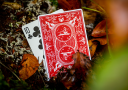 tour de magie : Bonfires Red (includes Card Magic Course)