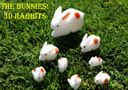 The Bunnies! 3D Rabbits