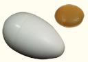 Silk to egg