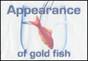 article de magie Appearance of gold fish