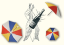 magia-lotes : Lote de paraguas y pañuelos de producción