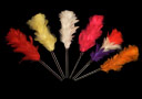 article de magie Color changing feathers