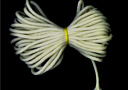 Magik tricks : Off-White rope 6 mm