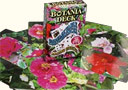 Magik tricks : Botania deck