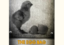 tour de magie : The Egg Bag