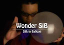 Wonder SIB