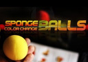 Flash Offer  : Color changing Sponge Balls