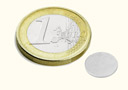 Round Magnet (10 x 0,6 mm)