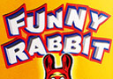 Funny Rabbit