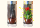 tour de magie : Apparition d'une rose dans un tube